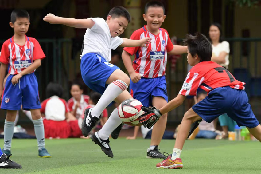 右江区实验小学：科技发明创造与研究性学习的有机结合_高中研究性学习